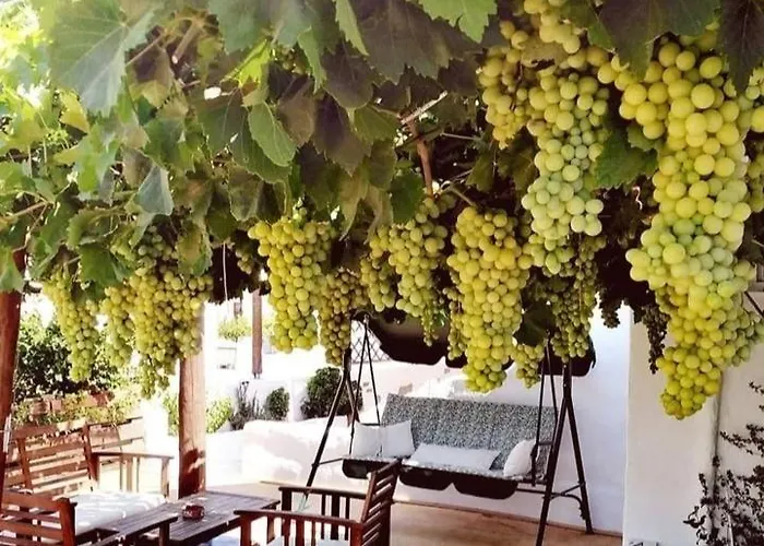 Casa De Flores 1 פלאקה