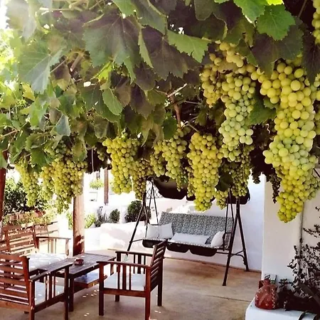 Casa De Flores 1 Plaka (Milos)